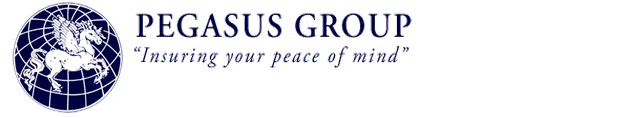 Pegasus Group - Logo